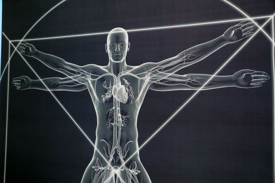 Врачи юга, Поволжья и Центральной России обсудили в Волгограде новые методики лечения