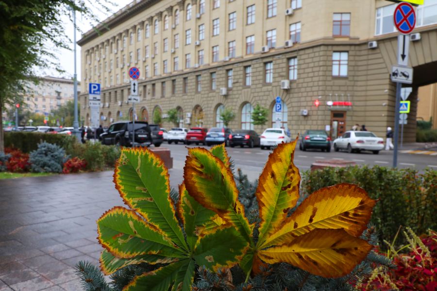 В ВолгГМУ состоялся методический семинар по вопросам организации системы управления методической работой преподавателей