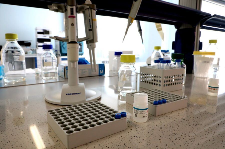 В ВолгГМУ открыта новая образовательная программа