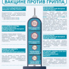 Гид по квадривалентной вакцине против гриппа. Источник: http://rospotrebnadzor.ru/about/info/news_time/news_details.php?ELEMENT_ID=11214