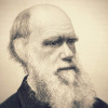 Книжные коллекции библиотеки ВолгГМУ. Чарльз Дарвин и его учение (к 210-летию со дня рождения)