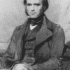 Дарвин в возрасте 40 лет Рисунок Т. Мегайра 1849 г.