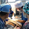 Стажировка студентов-стоматологов в Ташкенте