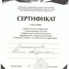 Сертификат участника - Смольнякова  Ю.А. - Всероссийская конференция с международным участием 