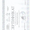 Сертификат участника - Бородин В.О. - Международная биологическая универсиада МГУ - 2017