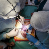 Мастер-класс по сердечно-сосудистой хирургии