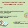 Как защититься от гриппа, коронавируса, ОРВИ