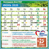 Календари ВолгГМУ. Июнь 2020
