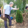 Выпускники ВолгГМУ посадили деревья в лагере