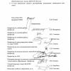 Распоряжение об обновлении сайта ВолГМУ (Лист 3)