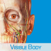 Тестовый доступ к 3D-атласу анатомии человека Visible Body