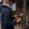 Волонтеры студсовета ВолгГМУ посетили приют для животных