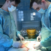 Хирургический клуб провёл мастер-классы для подготовки к олимпиаде