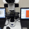 Фармклуб раскрывает тайны цифровой микроскопии в фармации
