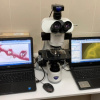 Фармклуб раскрывает тайны цифровой микроскопии в фармации