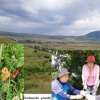 В Пятигорске обсудили перспективы развития ботанического сада медфарминститута