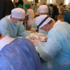Олимпиада по хирургии (Москва)