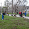 На субботнике: Волонтеры ВолгГМУ – на благо города! Апрель 2013