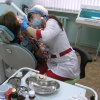 Летняя практика – 2013: Студенты-стоматологи осваивают профессиональные навыки