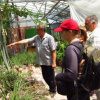 Экскурсия по оранжирее в ботаническом саду