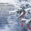 Открытка-поздравление с Новым, 2015 годом Главы Волгограда А. В. Косолапова