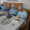 Межвузовская олимпиада по хирургической стоматологии в Ставрополе