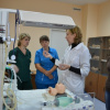 Доц Н.В.Деларю  проводит мастер-класс  по оказанию реанимационной помощи при мекониальной аспирации у новорожденного