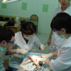 Олимпиада стоматологического мастерства обучающихся